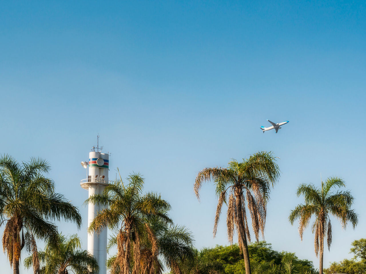 Commercial plane taking off from Buenos Aires airport, with a control tower and palm trees in the foreground