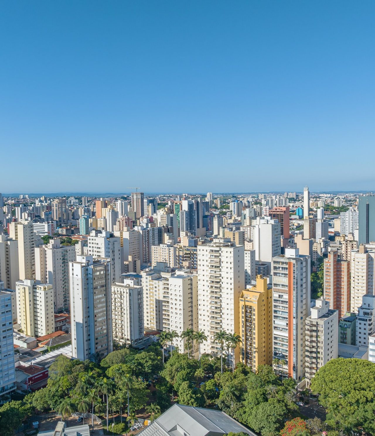 Aerial view of São Paulo, with several tall white buildings and a garden with vegetation in the foreground