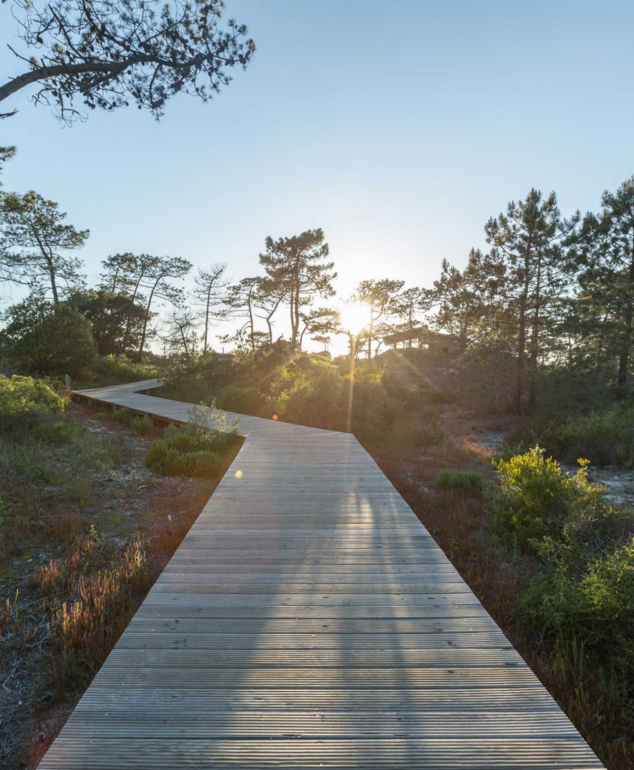 Boardwalk to the beach at Pestana Tróia, an Eco Resort near Comporta, of the Pestana Residences brand